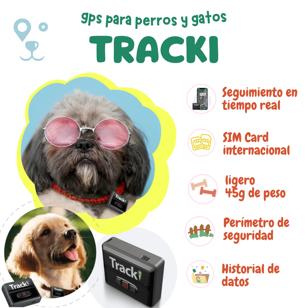 Localizador Gps para perros, rastreador en tiempo Real