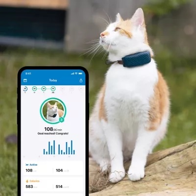 Invoxia Pet Tracker Rastreador GPS para Mascotas con Seguimiento de  Actividad