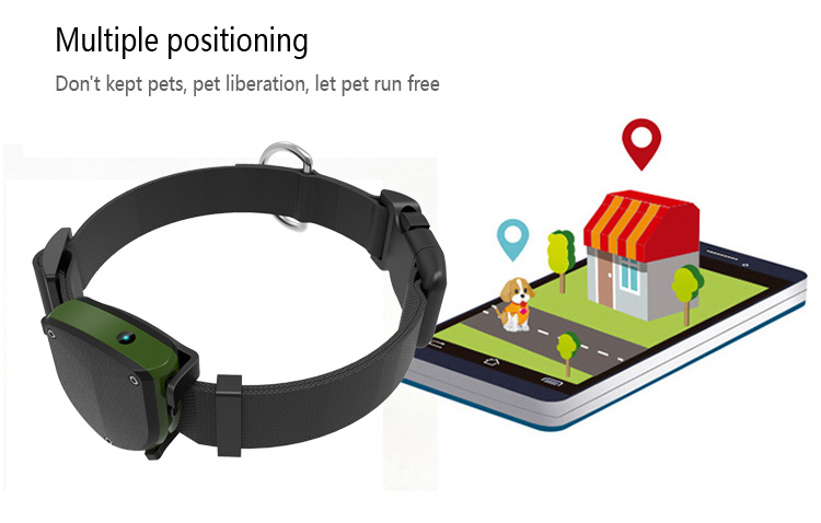 GPS para tu perros? Descubre todas sus aventuras con Spotter GPS ❤